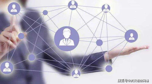 企業網站制作費用差異在哪里？深入解析互聯網上網服務的成本因素